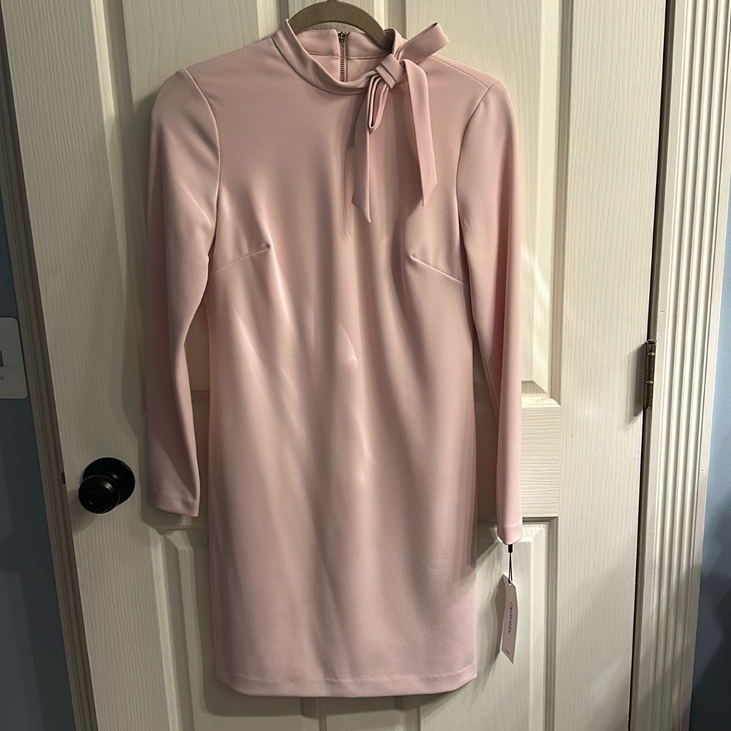Nwt Calvin Klein Long Sleeve Dress 4p Pink